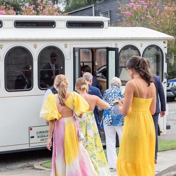 AJE Cloud Burst Midi Dress from Moda Operandi - Picture 7 of 7